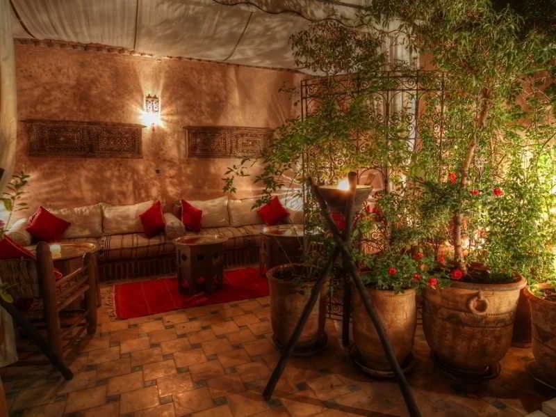 Riad Paula - photo 18