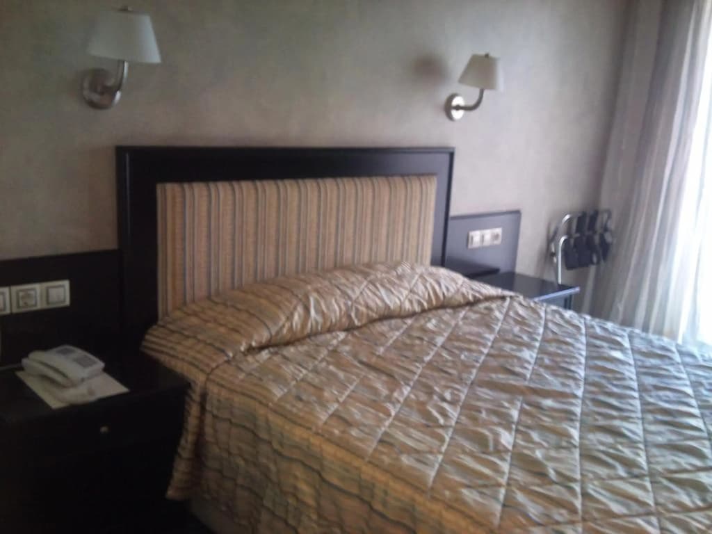 Crystal City Hotel - photo 10