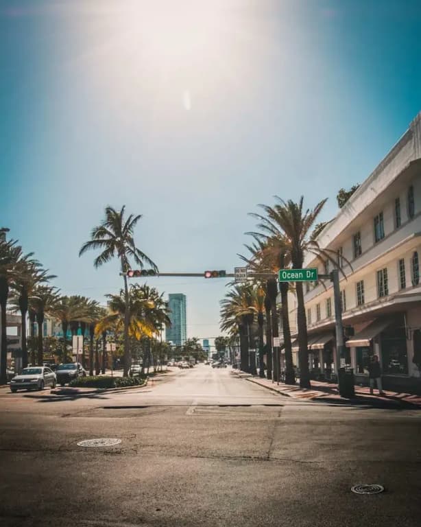 Your Miami Base With Free Parking - photo 10