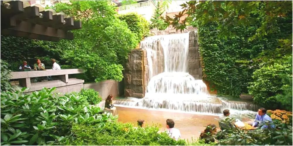 Greenacre - photo 9