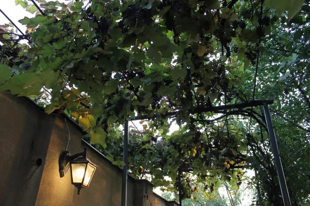 House with private garden - photo 12