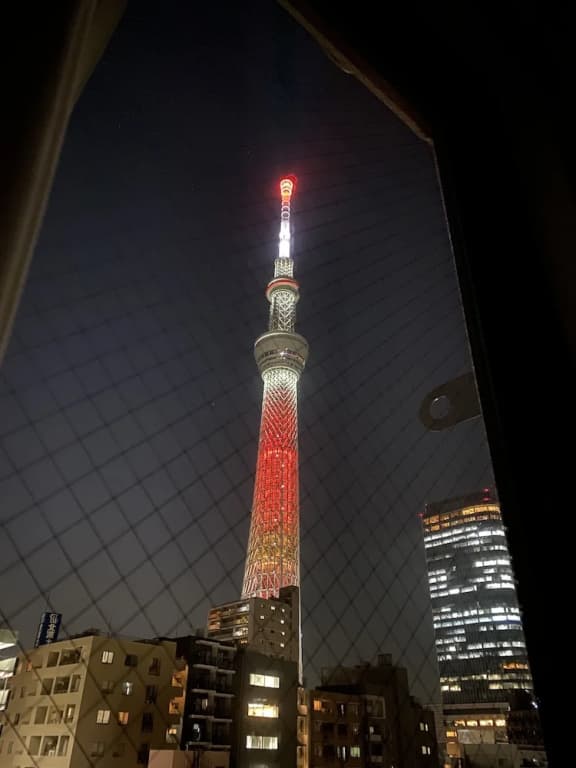 HOTEL WAKO Tokyo Tree View - photo 12
