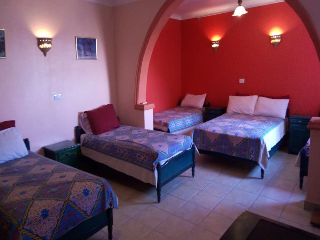Osiris Hotel - photo 7