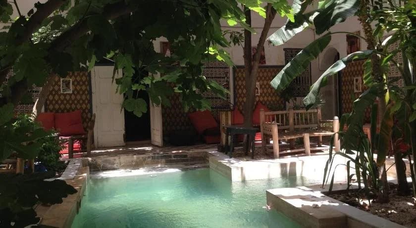 So Chic Riad - photo 12