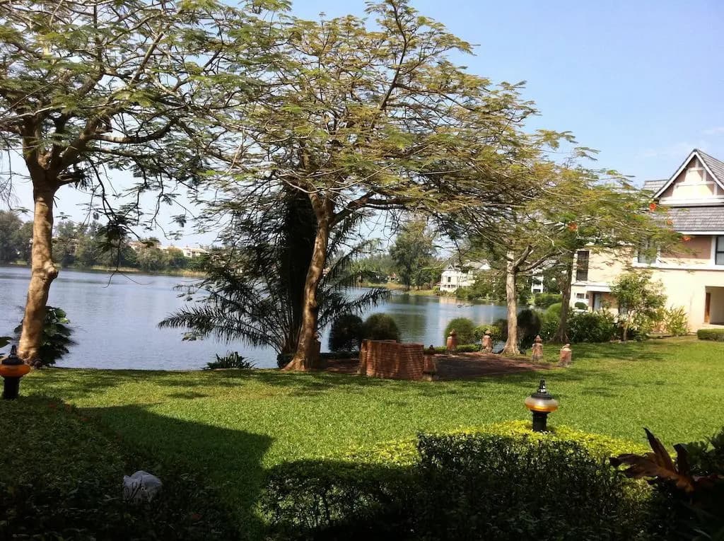 The Allamanda - Unit 1108 - photo 6