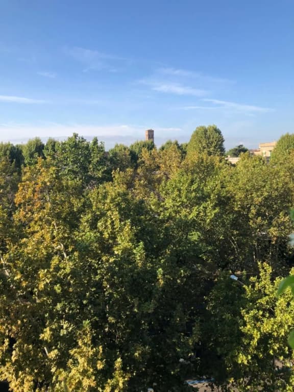 B&B Baci da Roma - photo 15