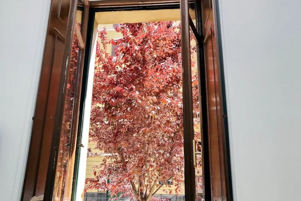 4bnb - Quiriti Delightful Apartment - photo 15