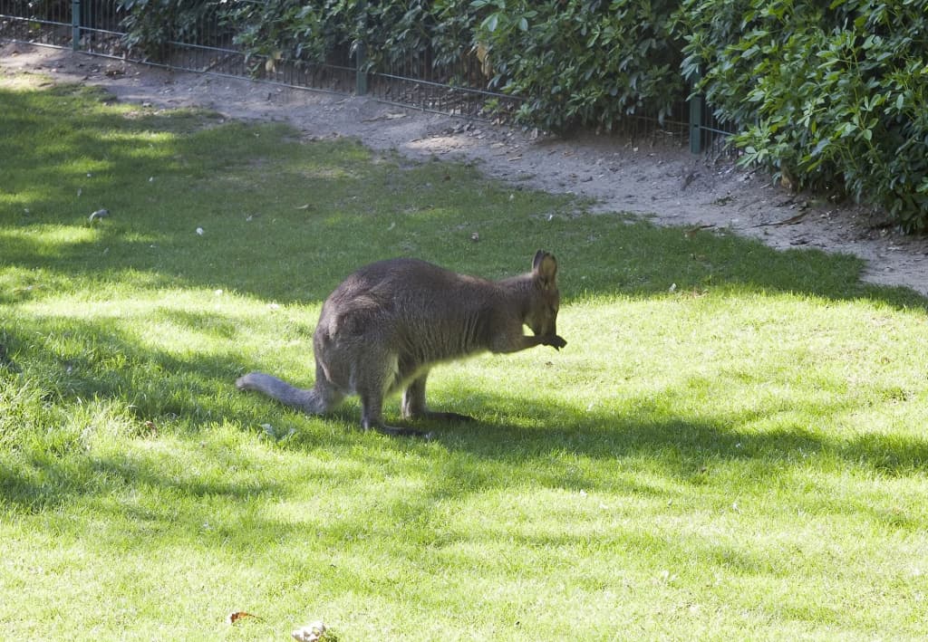 Hotel Jardin Des Plantes - photo 18