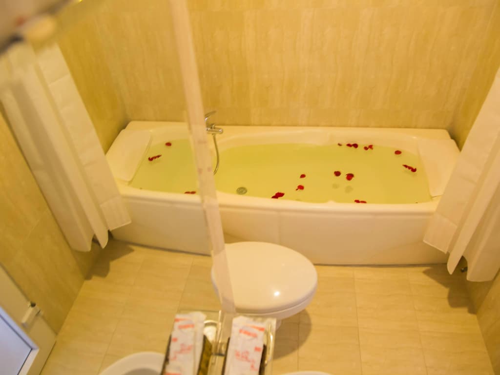 The Sun Hotel - photo 5
