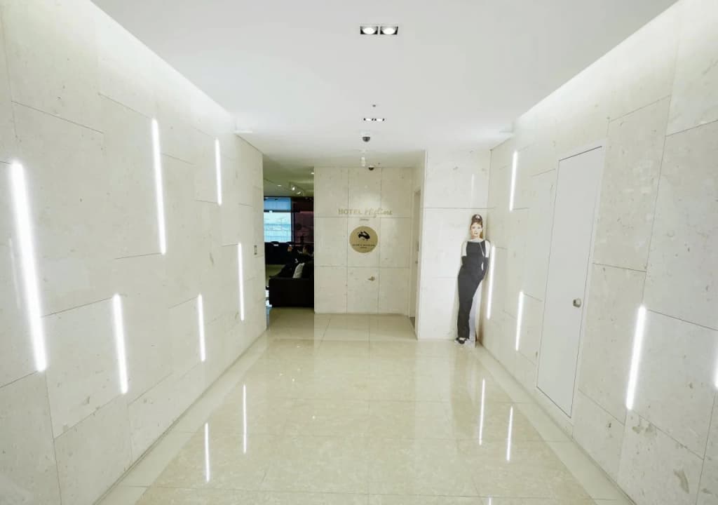 Hotel Migliore Seoul - photo 17