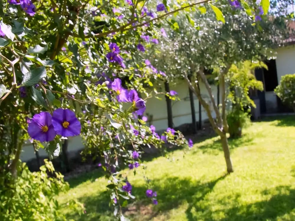 A Casa Tua Ostia Antica - photo 18