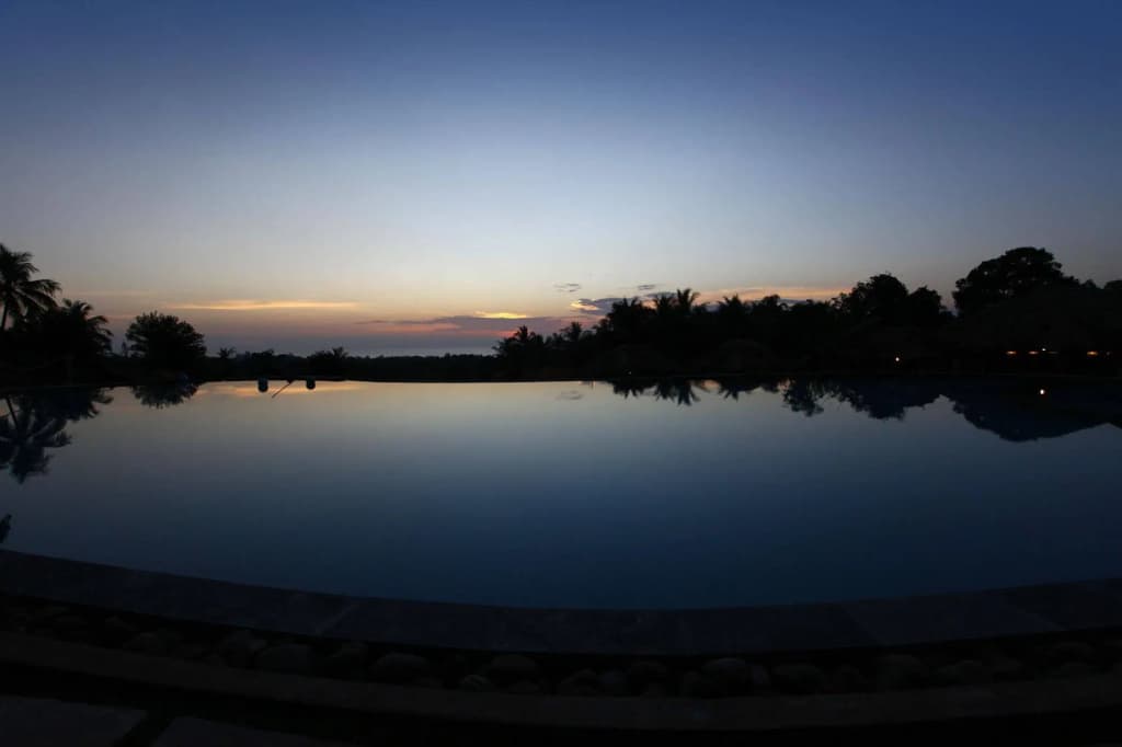 Daisy Resort - photo 30