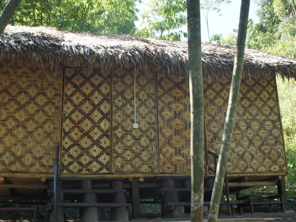 Rain Forest Inn - photo 14