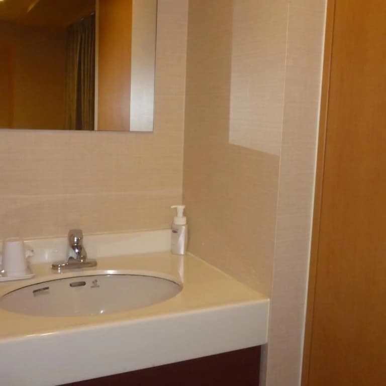 Smile Hotel Namba - photo 34