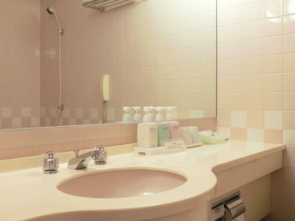 Hotel San Crane - photo 8