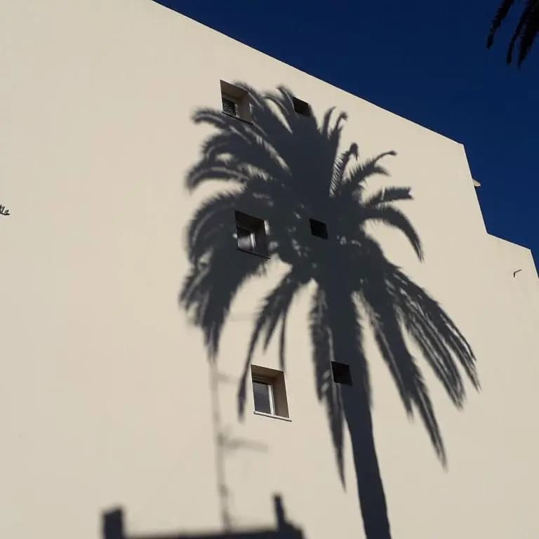 Les Pins . 2 p calme et terrasse - photo 1