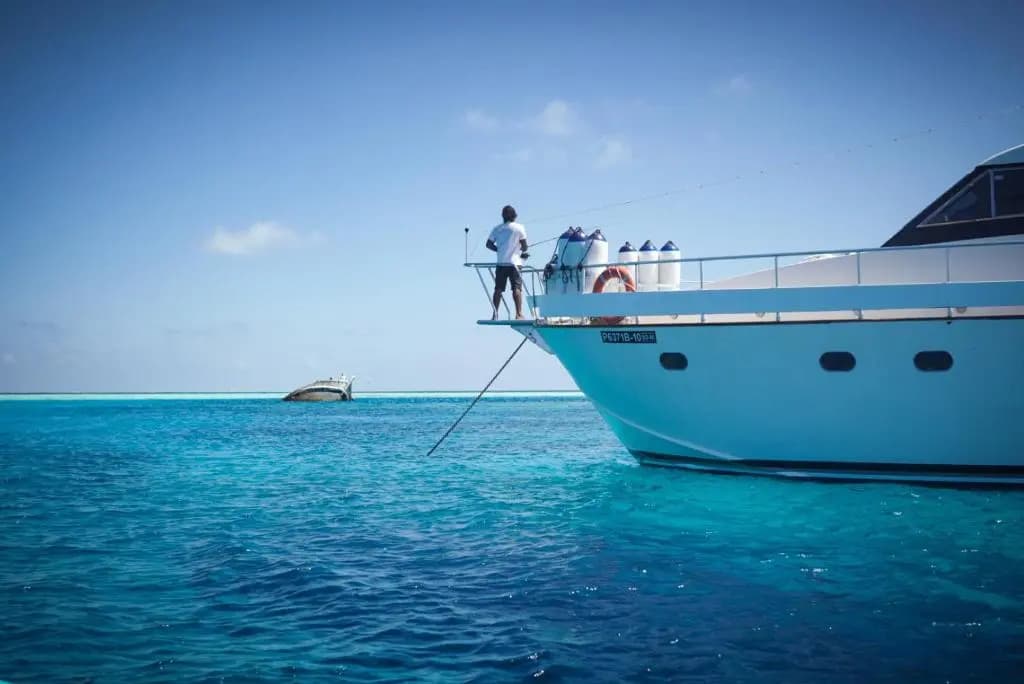 Ocean Breeze - photo 16