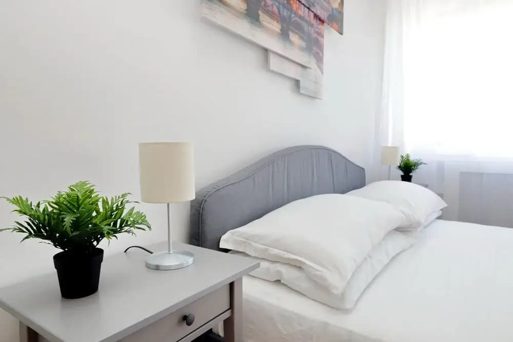 Zucchi Rooms - photo 14