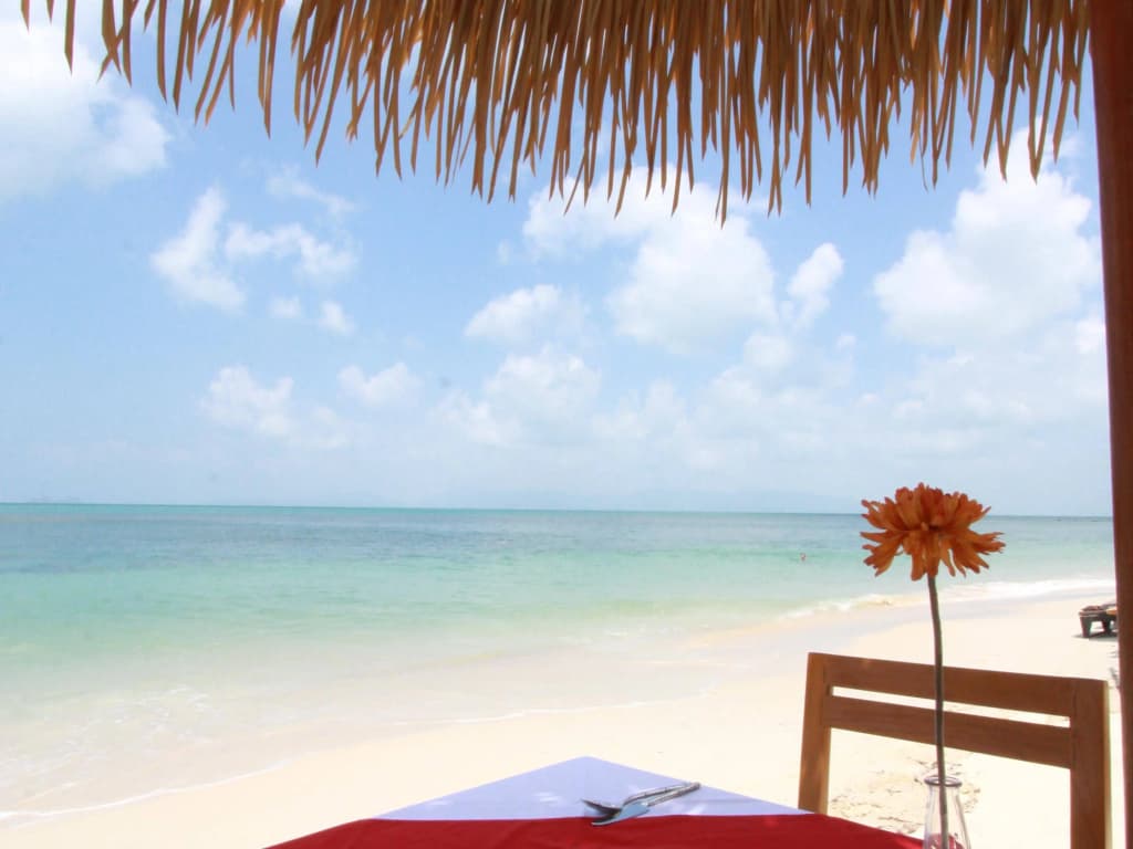 Mimosa Resort & Spa - photo 20