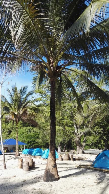 Tropical Eco Camping - photo 7