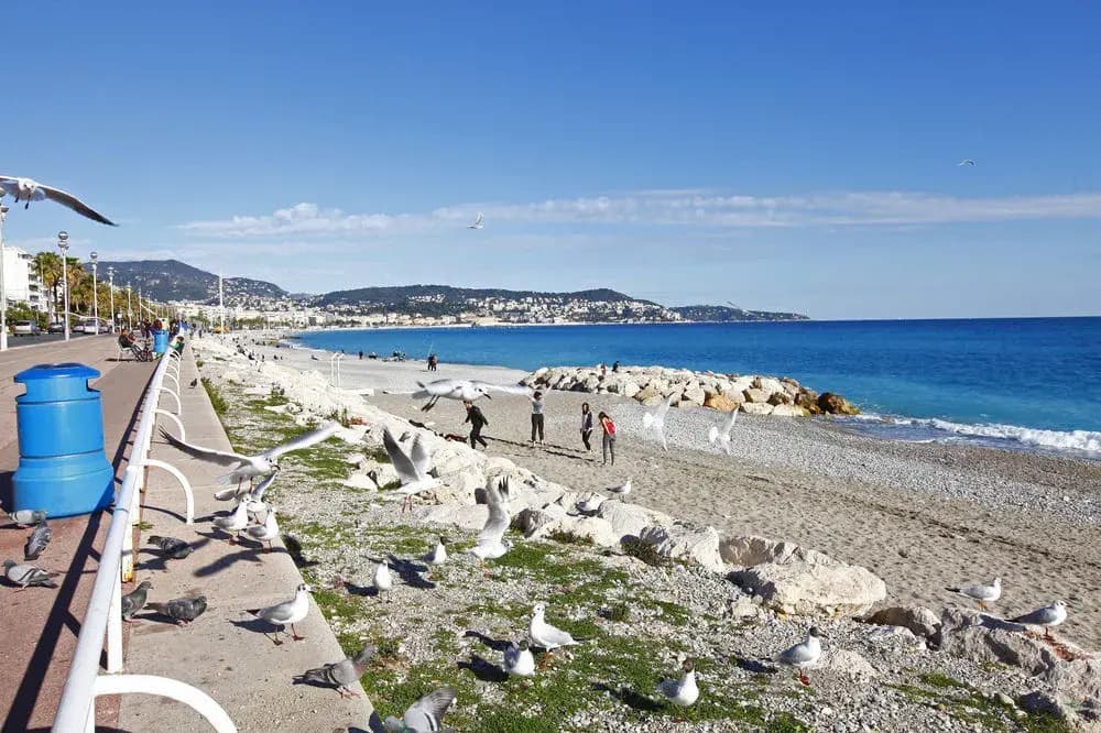 MyNice Vacances Center - photo 17