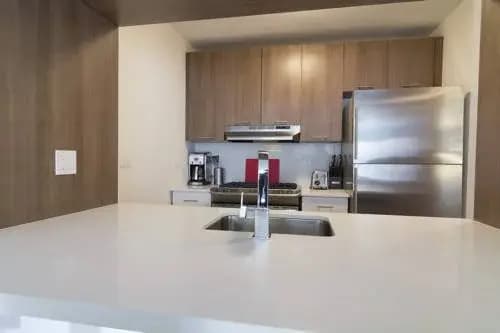 The G Suites - photo 44