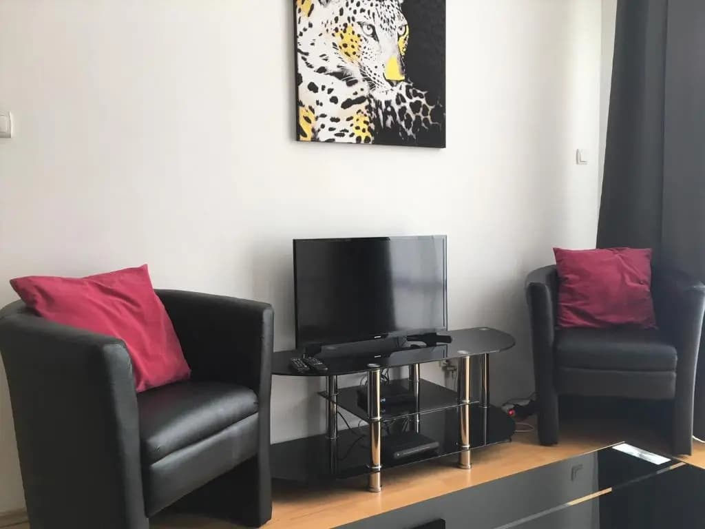 Apartment with Big Terrace - photo 11