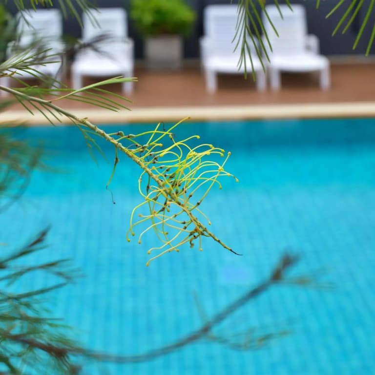 Platinum Hotel - photo 14