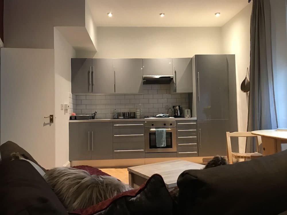 Edinburgh Old Town Apartment - photo 4