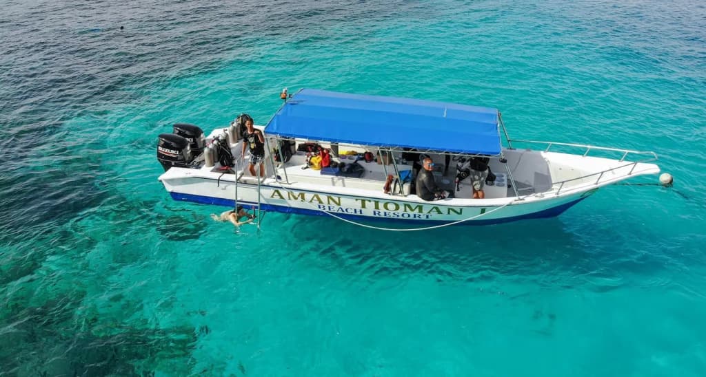 Aman Tioman Beach Resort - photo 18