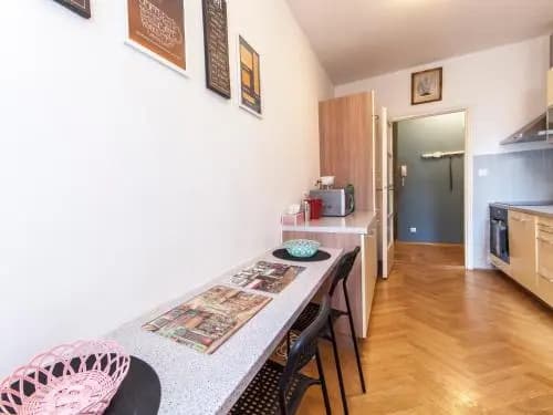 Modern Central Apartment Dlouhá - photo 13