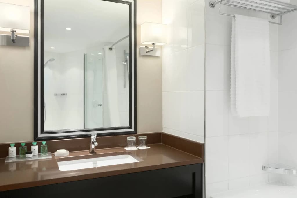 Renaissance Amsterdam Hotel - photo 9