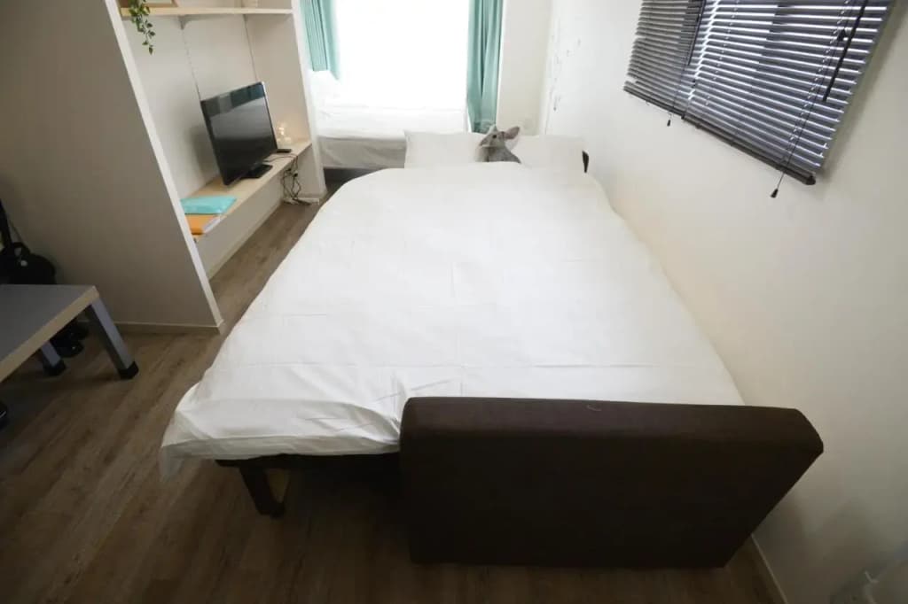 Roppongi Cat House601 - photo 19