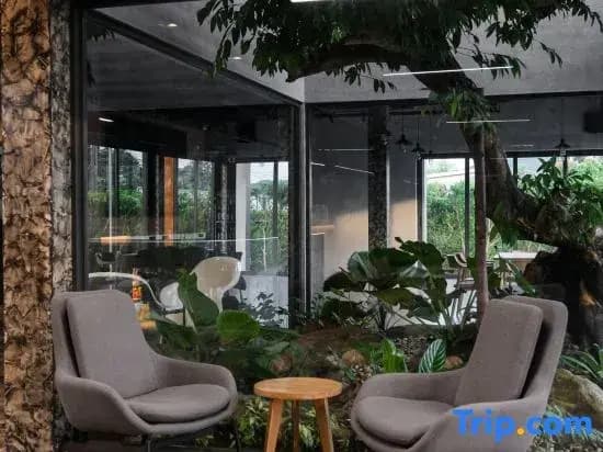Lush Inn Phuket - photo 26