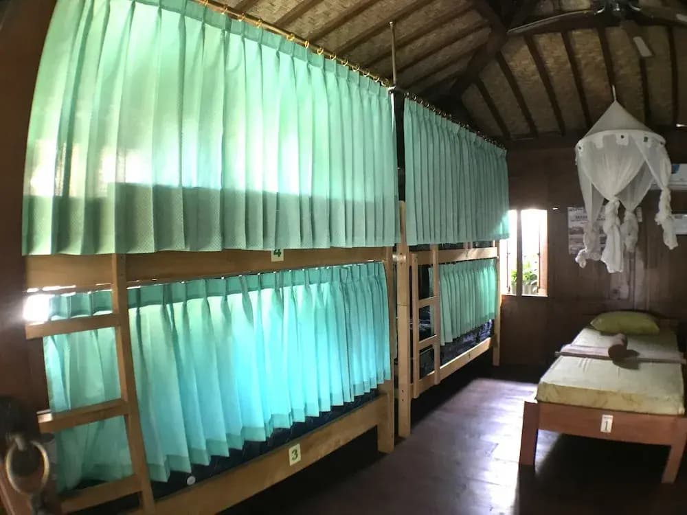 Green Paddy Hostel - photo 18