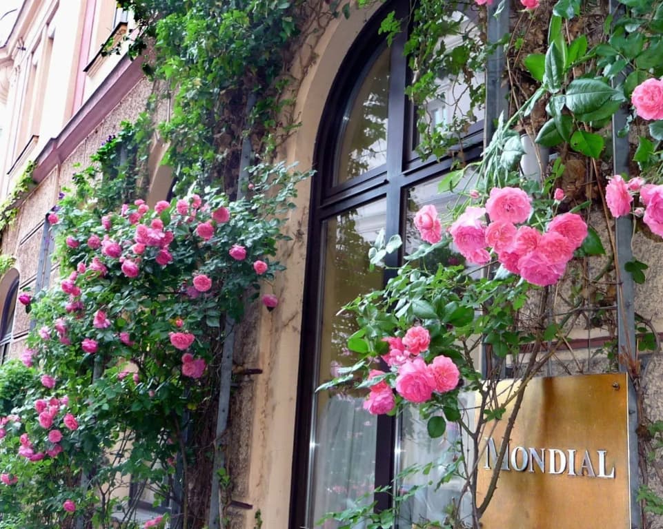 Mondial Appartement Hotel - photo 1