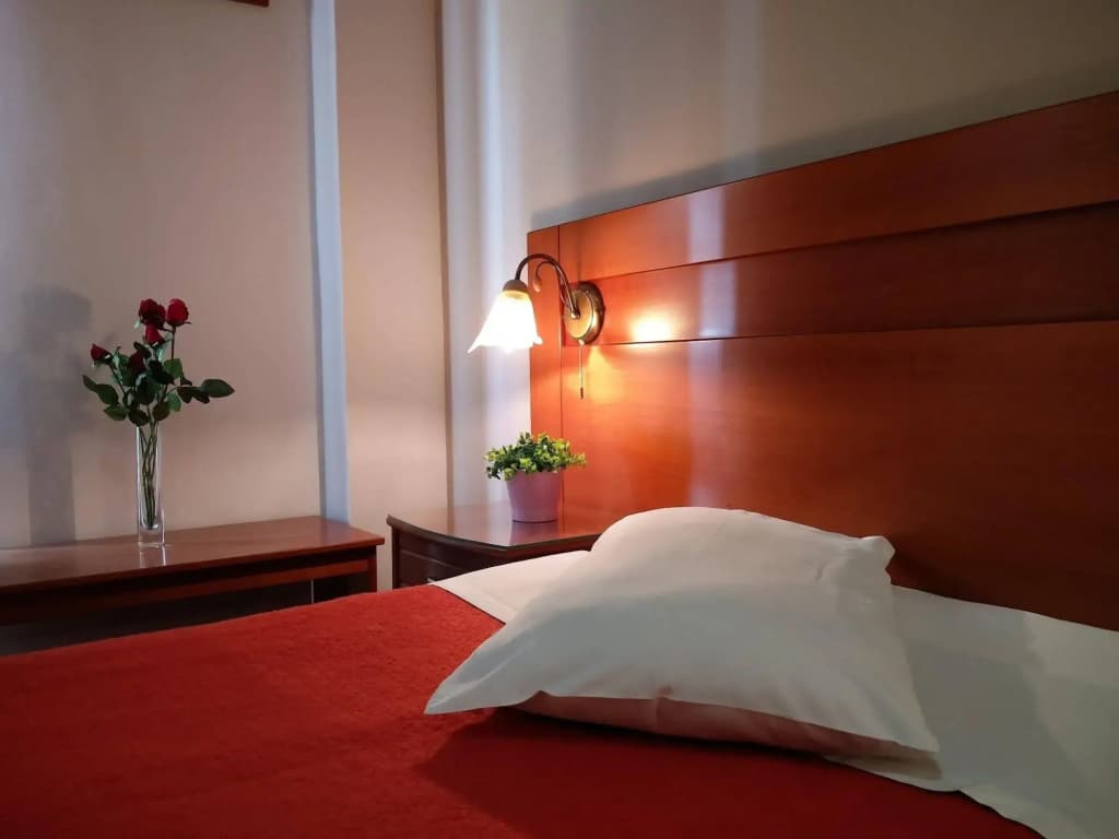 Vienna Hotel - photo 4