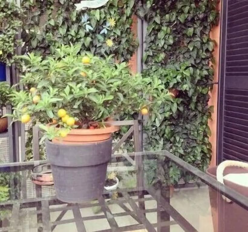 Milano Zona Navigli - photo 17