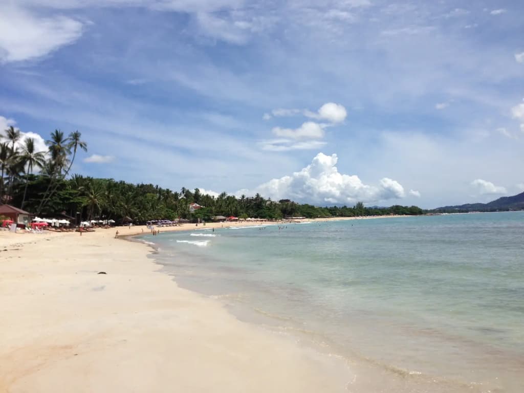 The Sarann - photo 37