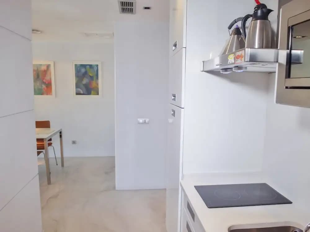 Apartamentos Escultor Madrid - photo 13
