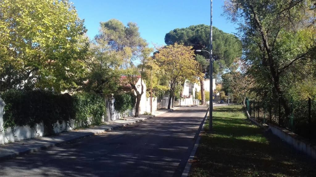 Hostal Aravaca Garden - photo 15