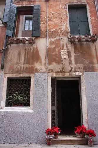 Viva Venezia - photo 16