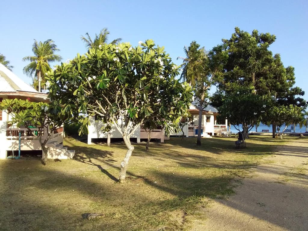 Jinta Beach Samui - photo 13