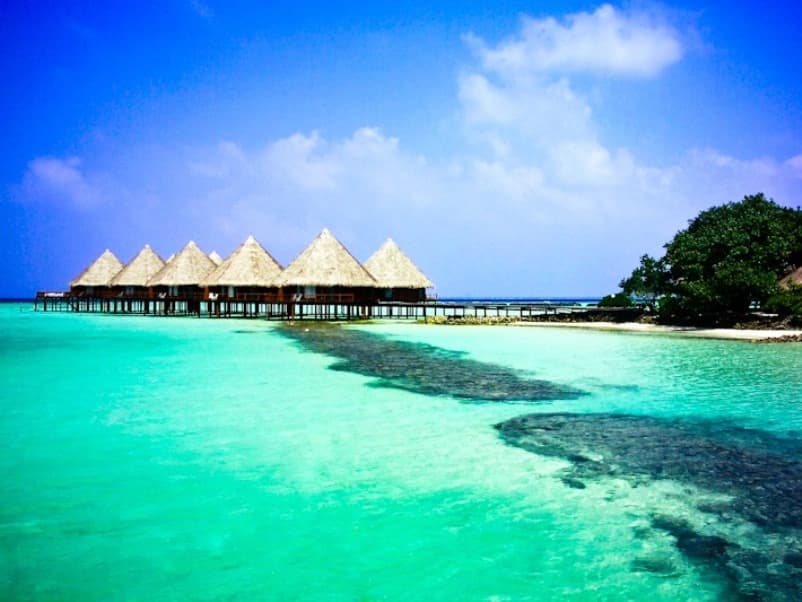 Velidhu Island Resort - photo 14