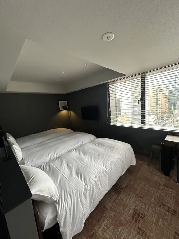 LOF HOTEL Shimbashi - photo 7