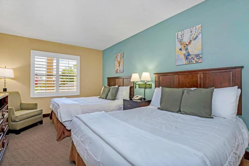 Near Disney - 1BR With Two Queen Beds - With Shared Pool and Hot Tub - photo 4