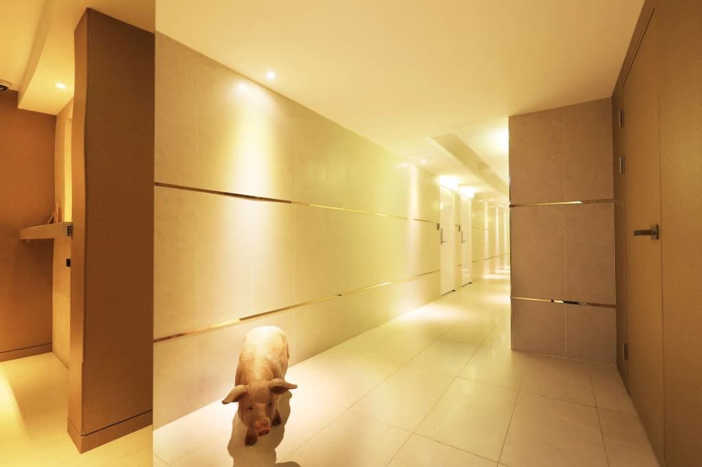 Darak Hotel - photo 16