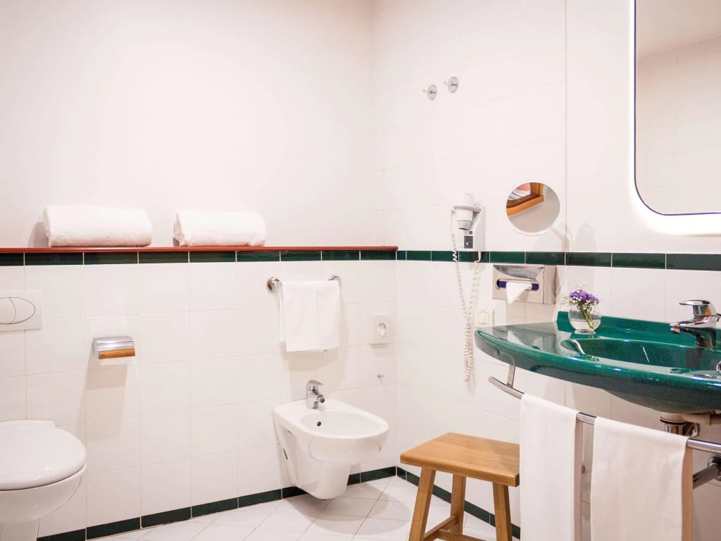 Mercure Roma Corso Trieste - photo 9
