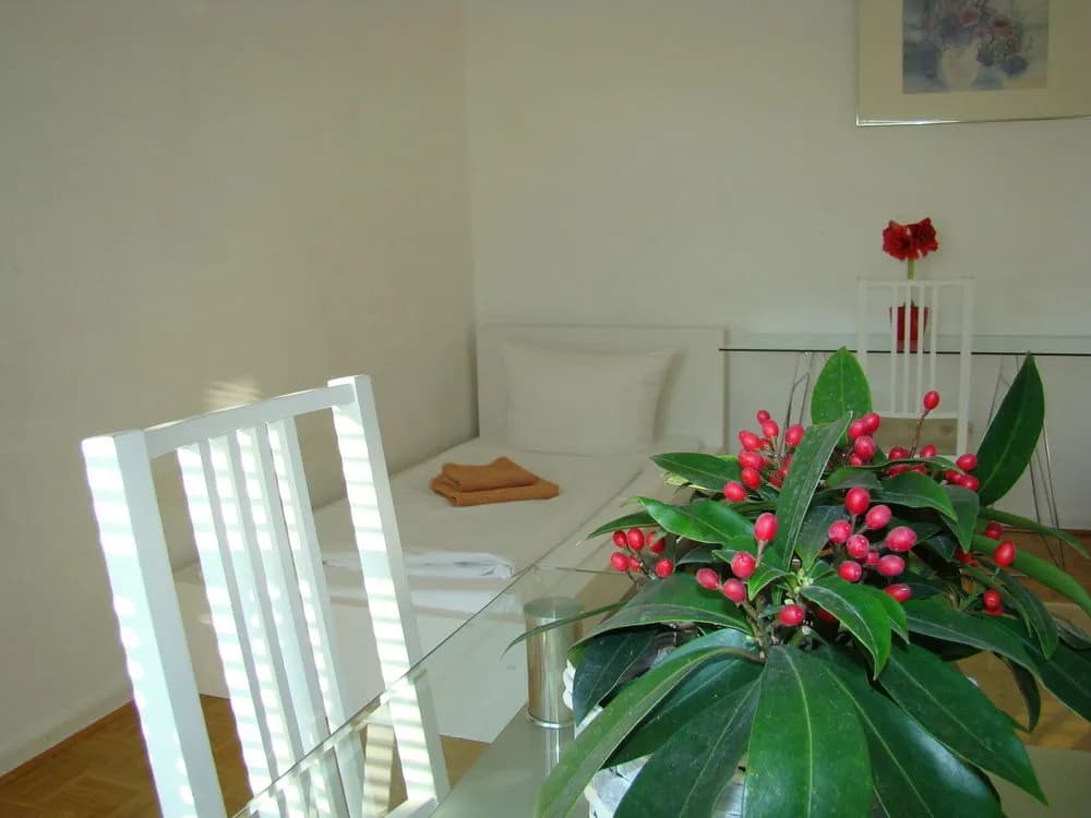 BNB near Brandenburg Gate - photo 14