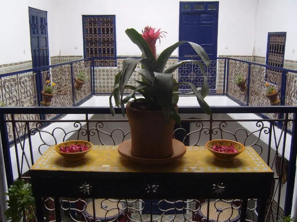 Riad Tiziri - photo 22